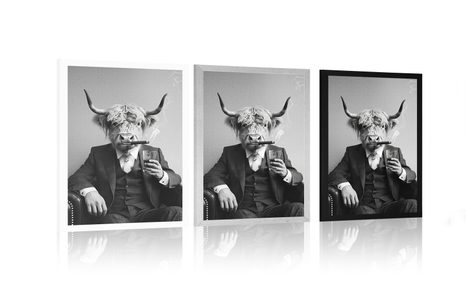 POSTER VACĂ ÎN COSTUM CU ȚIGARĂ ȘI WHISKY - BIVOLI - POSTERE