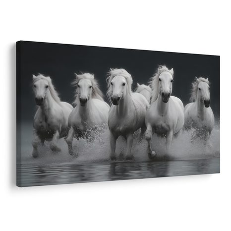 OBRAZ BÍLÍ KONĚ V POHYBU - OBRAZY KONĚ - OBRAZY