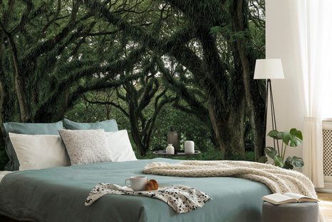 FOTOTAPET POTECĂ ACOPERITĂ DE VERDEAȚĂ - TAPETURI - 🔥 REDUCERE TOTALÃ