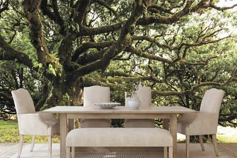 FOTOTAPETA STROMY POKRYTÉ MECHEM - TAPETY PŘÍRODA - TAPETY