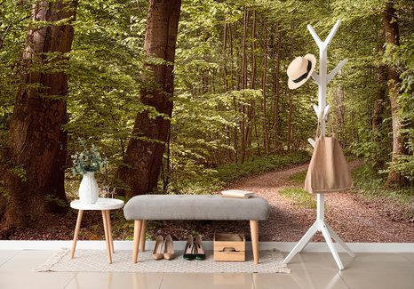 SAMOLEPÍCÍ FOTOTAPETA ZELENÝ LES - SAMOLEPÍCÍ TAPETY - TAPETY