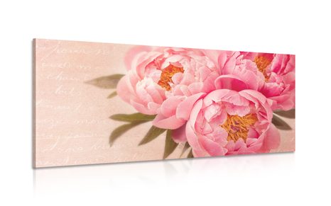 STAMPA SU TELA – PEONIA DELICATA - QUADRI VINTAGE E RETRÒ - STAMPE E QUADRI