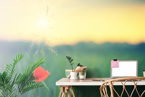 SAMOLEPÍCÍ FOTOTAPETA VLČÍ MÁK V TRÁVĚ - SAMOLEPÍCÍ TAPETY - TAPETY