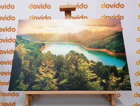 КАРТИНА НА ПЛАТНО – РЕКА В ЗЕЛЕНА ГОРА - КАРТИНИ НА ПРИРОДАТА И ПЕЙЗАЖИ - КАРТИНИ