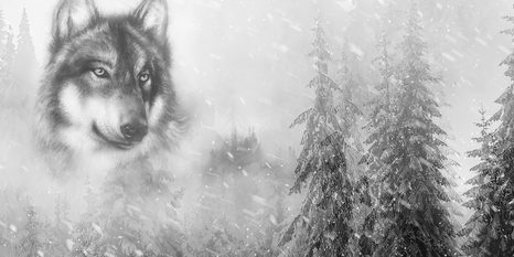 OBRAZ VLK V ZASNĚŽENÉ KRAJINĚ V ČERNOBÍLÉM PROVEDENÍ - ČERNOBÍLÉ OBRAZY - OBRAZY