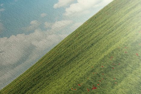 WANDBILD SCHÖNER TAG AUF DER WIESE - BILDER VON NATUR UND LANDSCHAFT - BILDER