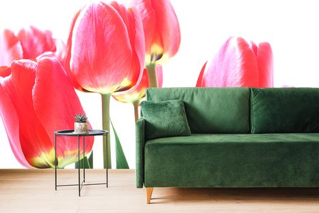 ΤΟΙΧΟΓΡΑΦΊΑ ΚΌΚΚΙΝΕΣ ΤΟΥΛΊΠΕΣ ΠΕΔΊΟΥ - ΤΑΠΕΤΣΑΡΊΑ ΜΕ ΛΟΥΛΟΎΔΙΑ - ΤΑΠΕΤΣΑΡΊΕΣ