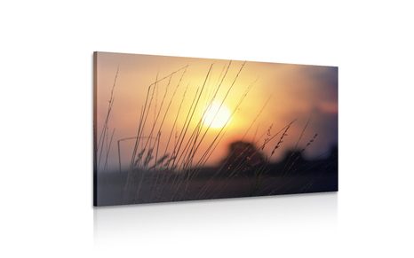 КАРТИНА НА ПЛАТНО – ИЗГРЕВ НАД ЛИВАДАТА - КАРТИНИ НА ПРИРОДАТА И ПЕЙЗАЖИ - КАРТИНИ