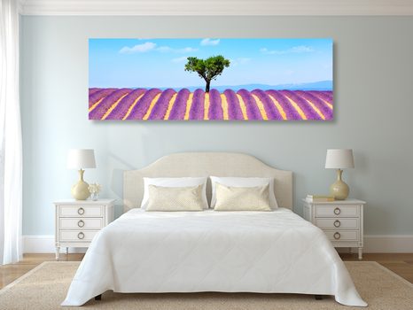 ΕΙΚΌΝΑ ΧΩΡΆΦΙ ΜΕ ΛΕΒΆΝΤΑ ΤΗΣ ΠΡΟΒΗΓΚΊΑΣ - ΠΊΝΑΚΕΣ ΦΎΣΗΣ ΚΑΙ ΤΟΠΊΟΥ - ΠΊΝΑΚΕΣ