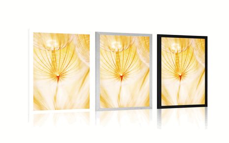 POSTER – DENTE DI LEONE IN ESECUZIONE GIALLA - FIORI - POSTER