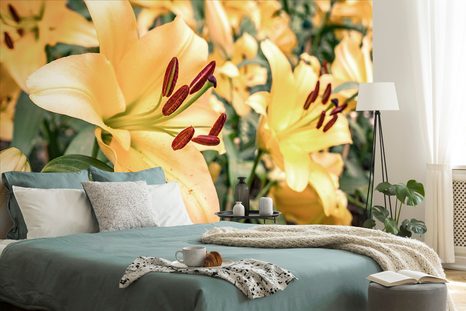 SELBSTKLEBENDE FOTOTAPETE GELBE LILIE - SELBSTKLEBENDE TAPETEN - TAPETEN