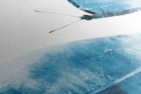 ΦΤΕΡΌ ΕΙΚΌΝΑΣ ΜΕ ΠΕΤΑΛΟΎΔΑ ΣΕ ΜΠΛΕ ΣΧΈΔΙΟ - ΠΊΝΑΚΕΣ ΝΕΚΡΉΣ ΦΎΣΗΣ - ΠΊΝΑΚΕΣ