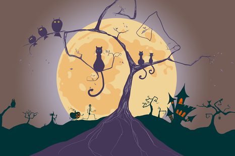 PICTURE GHOSTS OF THE NIGHT - PICTURES CATS - PICTURES