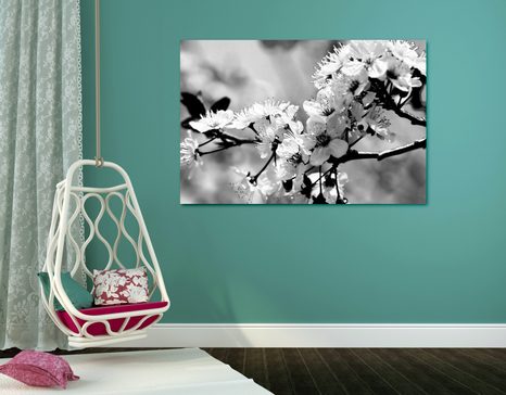 WANDBILD KIRSCHBLÜTE IN SCHWARZ-WEISS - SCHWARZ-WEISSE BILDER - BILDER
