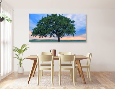 TABLOU STEJAR SINGURATIC - TABLOU NATURĂ ȘI PEISAJE NATURALE - TABLOURI