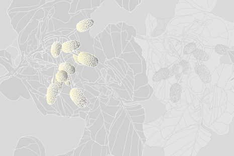 TAPETA ABSTRAKTNÍ ŠIŠKY V ŠEDÉM PROVEDENÍ - TAPETY PŘÍRODA - TAPETY