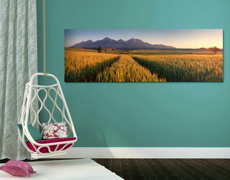 CANVAS PRINT SUNSET OVER A WHEAT FIELD - PICTURES OF NATURE AND LANDSCAPE - PICTURES