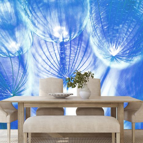 SELF ADHESIVE WALLPAPER UNUSUAL BLUE DANDELION - SELF-ADHESIVE WALLPAPERS - WALLPAPERS