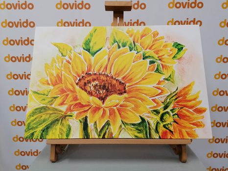 OBRAZ NÁDHERNÁ SLUNEČNICE - OBRAZY KVĚTŮ - OBRAZY