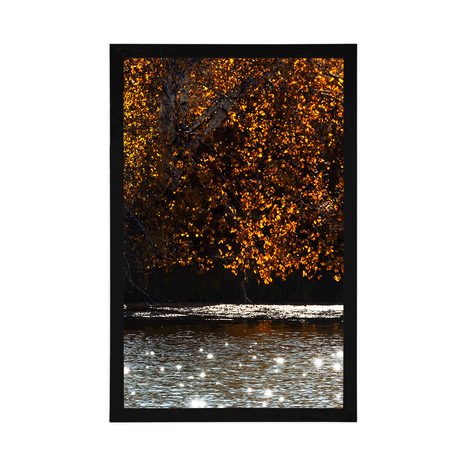 PLAKÁT ODRAZ LISTÍ V JEZEŘE - PŘÍRODA - PLAKÁTY