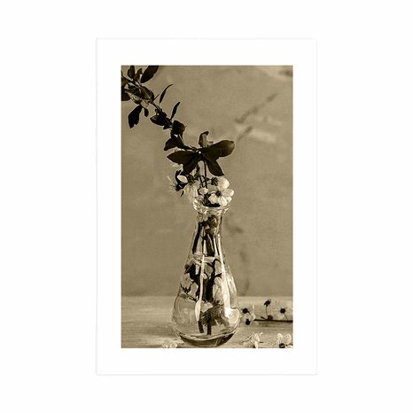 PLAKAT S PASPARTUOM GRANČICA TREŠNJE U VAZI U SEPIJASTOM TONU - CRNO-BIJELE - PLAKATI