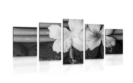 5-PIECE CANVAS PRINT WELLNESS STILL LIFE IN BLACK AND WHITE - BLACK AND WHITE PICTURES - PICTURES