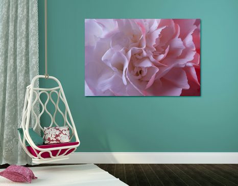 KÉP SZÍNES SZEKFŰ - VIRÁGMINTÁS KÉPEK - KÉPEK