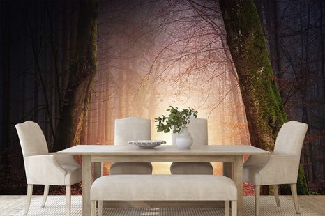 SAMOLEPIACA TAPETA LES V ROZPRÁVKOVÝCH FARBÁCH - SAMOLEPIACE TAPETY - TAPETY