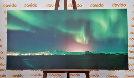 SLIKA NEOBIČAJNI ZELENI SIJ - SLIKE NARAVE IN POKRAJINE - SLIKE