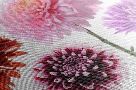 OBRAZ KVĚTINY JIŘINY V RŮZNOBAREVNÉM DESIGNU - OBRAZY KVĚTŮ - OBRAZY