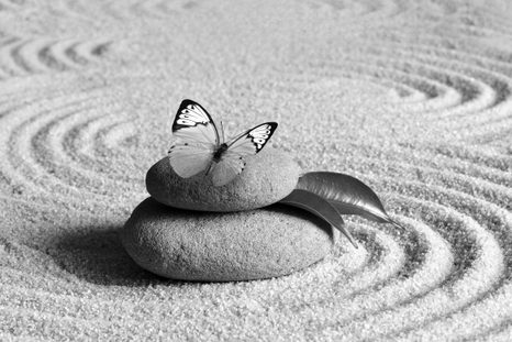 FOTOTAPETA ČERNOBÍLÝ MOTÝL NA ZEN KAMENI - ČERNOBÍLÉ TAPETY - TAPETY