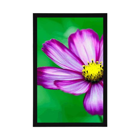 POSTER GARTENBLUME SCHMUCKKÖRBCHEN - BLUMEN - POSTER