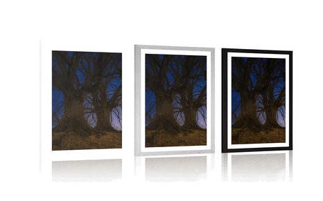 SPLAKAT S PASPARTUOM TABLA U NOĆNOM KRAJOLIKU - PRIRODA - PLAKATI