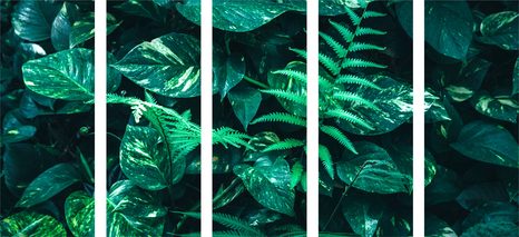 5-RÉSZES KÉP FRISS TRÓPUSI LEVELEK - CSENDÉLET KÉPEKEN - KÉPEK