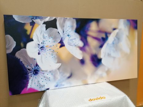 OBRAZ ROZKVETLÁ VĚTVIČKA TŘEŠNĚ - OBRAZY KVĚTŮ - OBRAZY