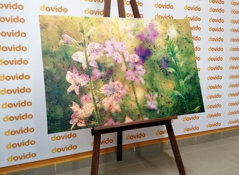 ΕΙΚΌΝΑ ΣΧΈΔΙΟ ΑΚΟΥΑΡΈΛΑΣ ΕΝΌΣ ΦΥΤΟΎ ΒΟΥΝΟΎ - ΠΊΝΑΚΕΣ ΑΠΌ ΛΟΥΛΟΎΔΙΑ - ΠΊΝΑΚΕΣ