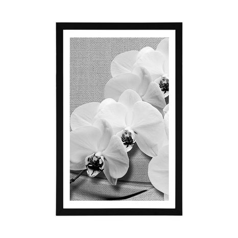 POSTER – ORCHIDEA SU TELA IN BIANCO E NERO - NERO E BIANCO - POSTER
