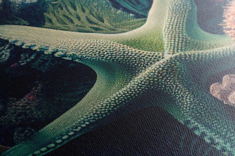 QUADRO SU TELA – STELLE MARINE SURREALISTE - QUADRI DEL MONDO SOTTOMARINO - STAMPE E QUADRI