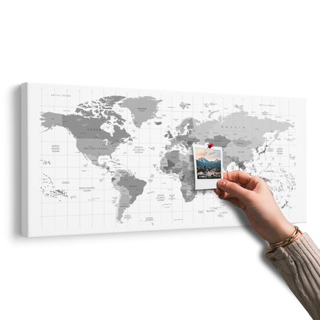 ΕΙΚΌΝΑ ΣΕ ΓΚΡΙ ΦΕΛΛΌ ΧΆΡΤΗ ΣΕ ΛΕΥΚΌ ΦΌΝΤΟ - ΠΊΝΑΚΕΣ ΣΤΟ ΦΕΛΛΌ - ΠΊΝΑΚΕΣ