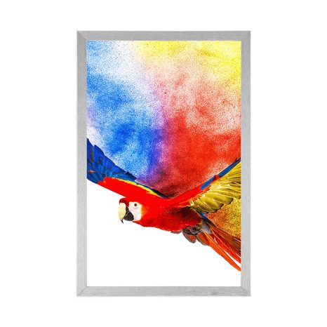 PLAKAT LET PAPAGAJA - ŽIVALI - PLAKATI