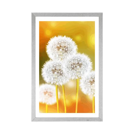 PLAKAT S PASPARTUOM PAHULJASTI MASLAČAK - CVIJEĆE - PLAKATI