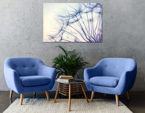 OBRAZ PAMPELIŠKA V JEDINEČNÉM PROVEDENÍ - OBRAZY KVĚTŮ - OBRAZY