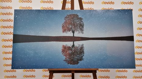 WANDBILD STERNENHIMMEL ÜBER EINEM ALLEINSTEHENDEN BAUM - BILDER VON NATUR UND LANDSCHAFT - BILDER