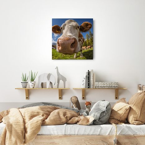 WANDBILD BLICK DER KUH AUF DER WEIDE - WANDBILDER BÜFFEL UND KÜHE - BILDER