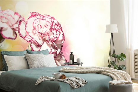 TAPETA KARAFIÁT - TAPETY KVĚTINY - TAPETY