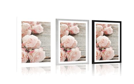 AFFICHE – ROSES ROMANTIQUES - FLEURS - AFFICHES