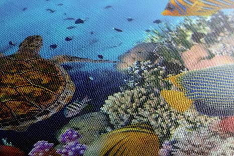 STAMPA SU TELA – MONDO SOTTOMARINO - QADRI DI ANIMALI MARINI - STAMPE E QUADRI