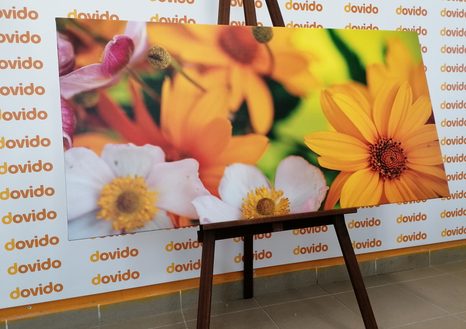 ΕΙΚΌΝΑ ΚΑΛΟΚΑΙΡΙΝΉ ΑΝΘΟΔΈΣΜΗ - ΠΊΝΑΚΕΣ ΑΠΌ ΛΟΥΛΟΎΔΙΑ - ΠΊΝΑΚΕΣ