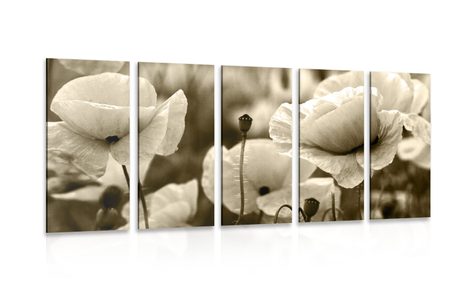 5-PIECE CANVAS PRINT FIELD OF WILD POPPIES IN SEPIA DESIGN
