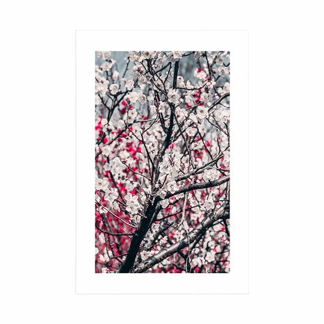 AFFICHE – FLEURS DE PÊCHE - FLEURS - AFFICHES